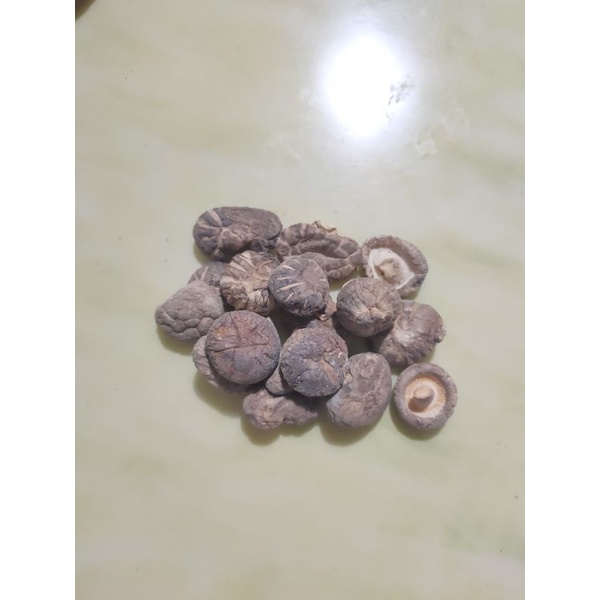 

wild shitake mushroom jamur shitake kering liar jamur payung