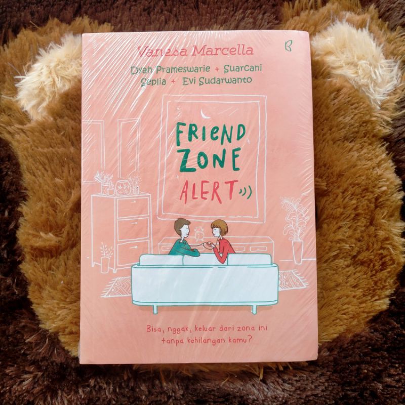 NOVEL FRIEND ZONE ALERT