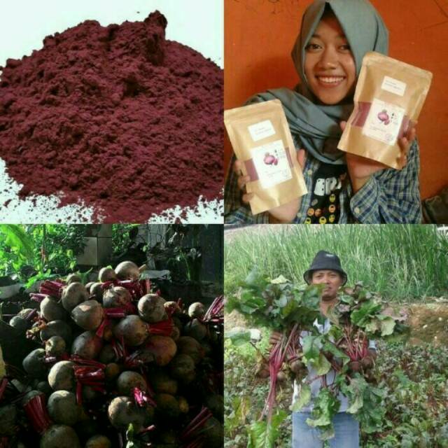 

Buah beet kemasan serbuk 100gr