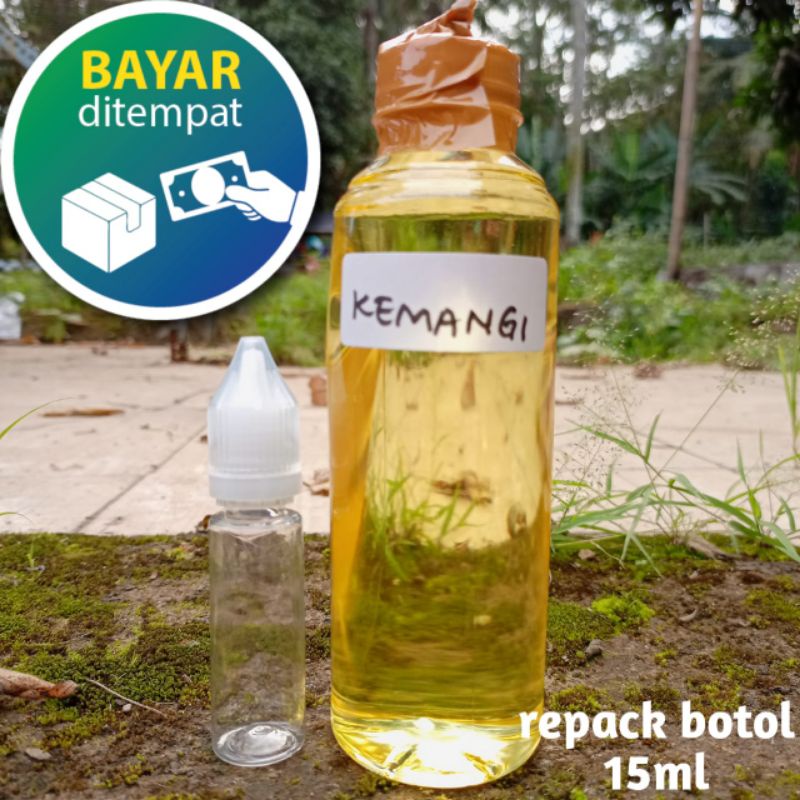ESSEN BIANG AMPUH UNTUK IKAN MAS AROMA KEMANGI