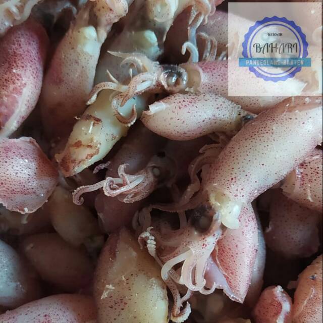 

Cumi Asin Rebus /Balita Cumi / Cumi Asin size 3-4,5 cm 250 gr