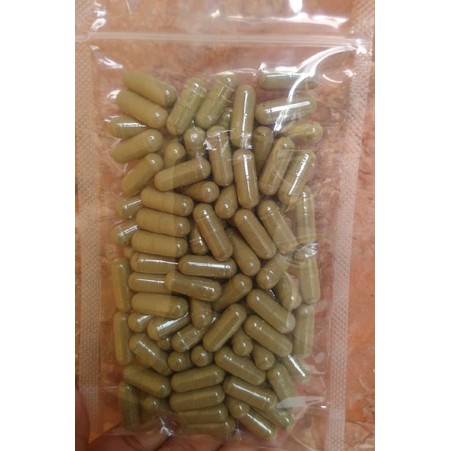 Ekstrak Sambiloto Kapsul (Isi : 100pcs), Obat Herbal Murah ...