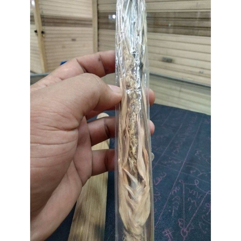 kembang sereh wangi