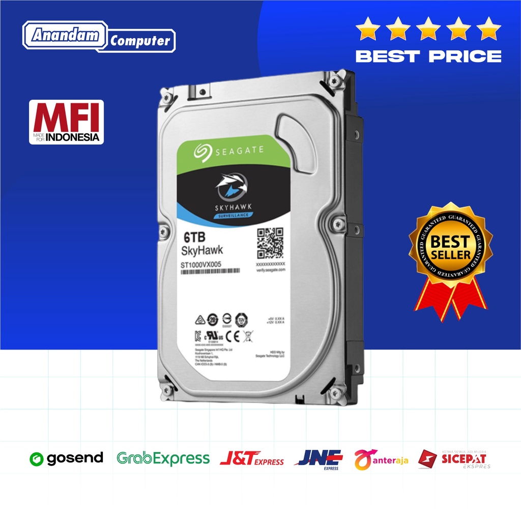 Seagate SkyHawk Harddisk Internal PC