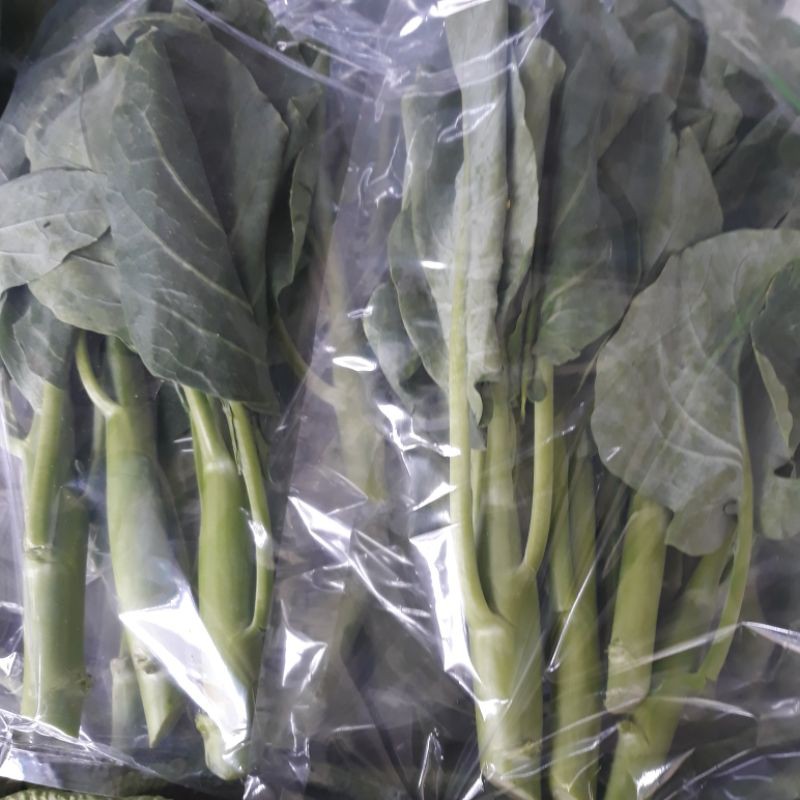 

SAYUR KHAILAN/KHAI LAN CHOI 300GRAM