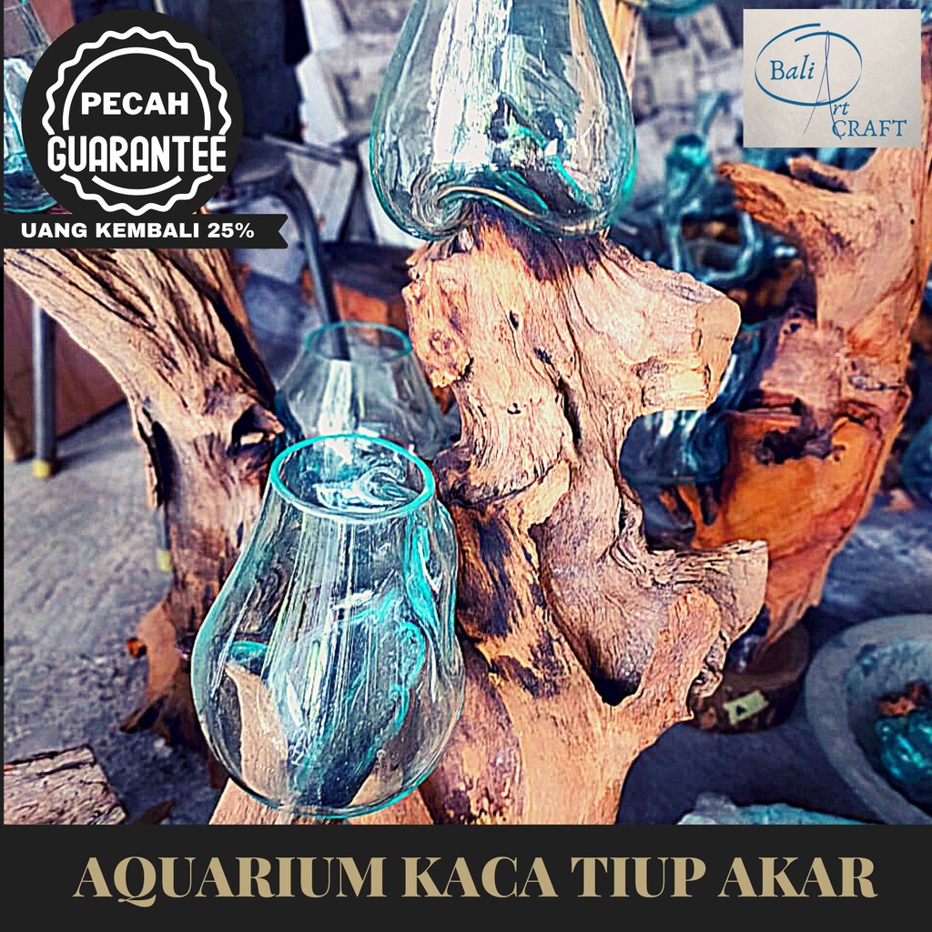 AKUARIUM IKAN CUPANG BETA FISH 3 TINGKAT  / KACA TIUP AKAR BALI / AQUASCAPE / AQUARIUM UNIK GLASWOOD