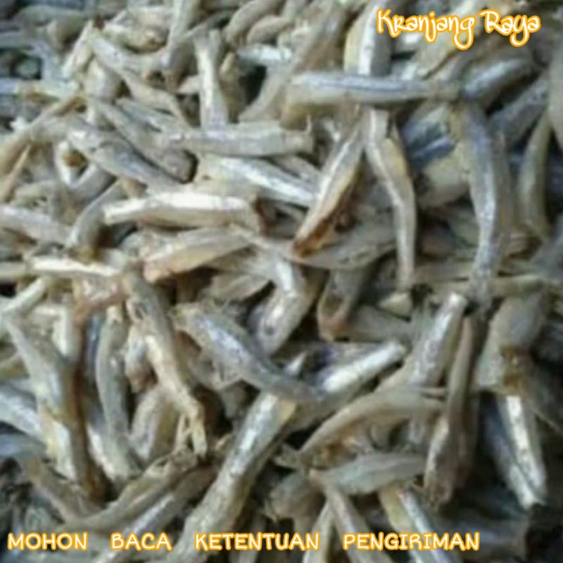 Ikan teri jengki