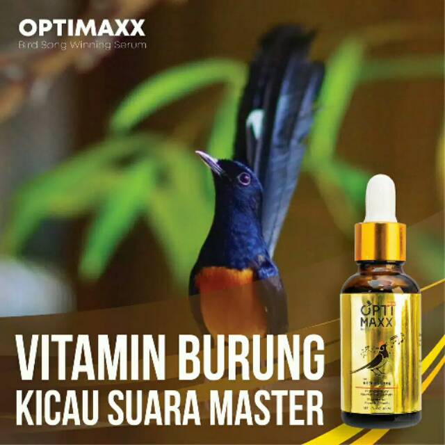 OPTIMAXX VITAMIN BURUNG