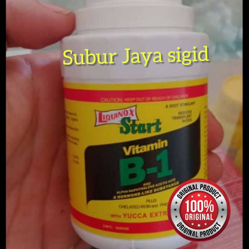 Jual ZPT Vitamin B1 Perangsang Akar Tanaman Aglonema Dan Semua Jenis ...