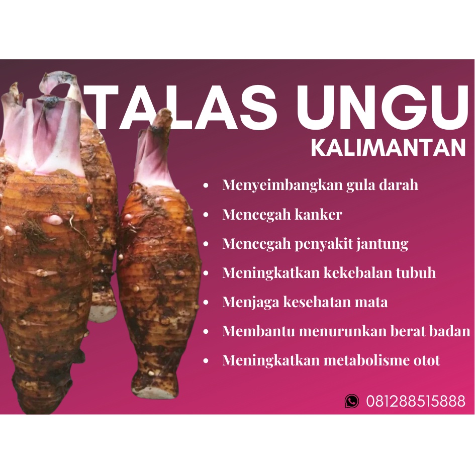 

Talas Ungu Kalimantan