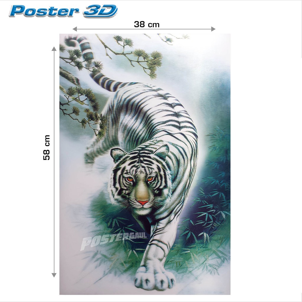 Terkeren 15 Gambar Harimau  Putih  Keren 3d Arka Gambar