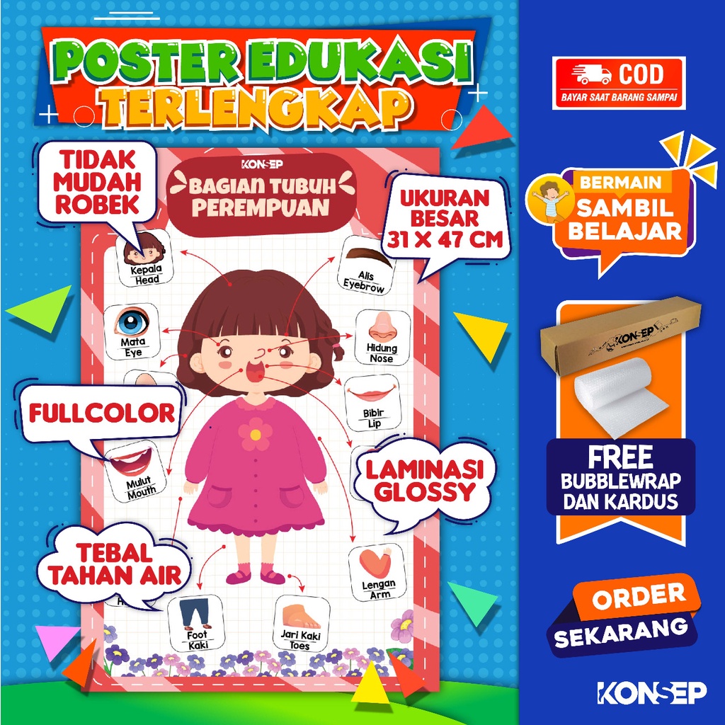 Konsep Poster Edukasi Pendidikan Anak Belajar Bagian Tubuh Perempuan Paud Balita TK Toodler SD Laminasi Glossy Tahan Air