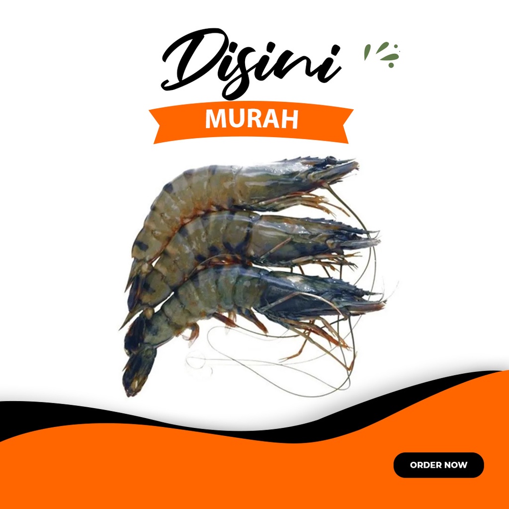 

udang pancet / udang windu segar fresh no frozen