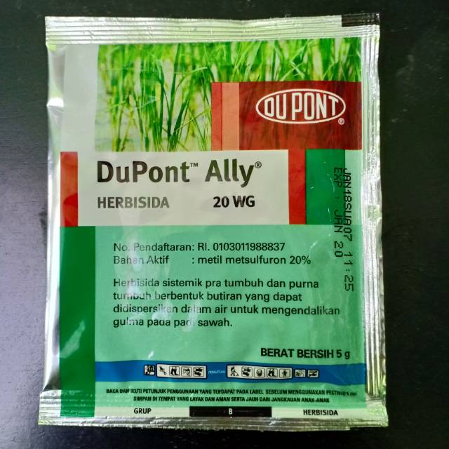 Herbisida Dupont Ally 20WG 5gram