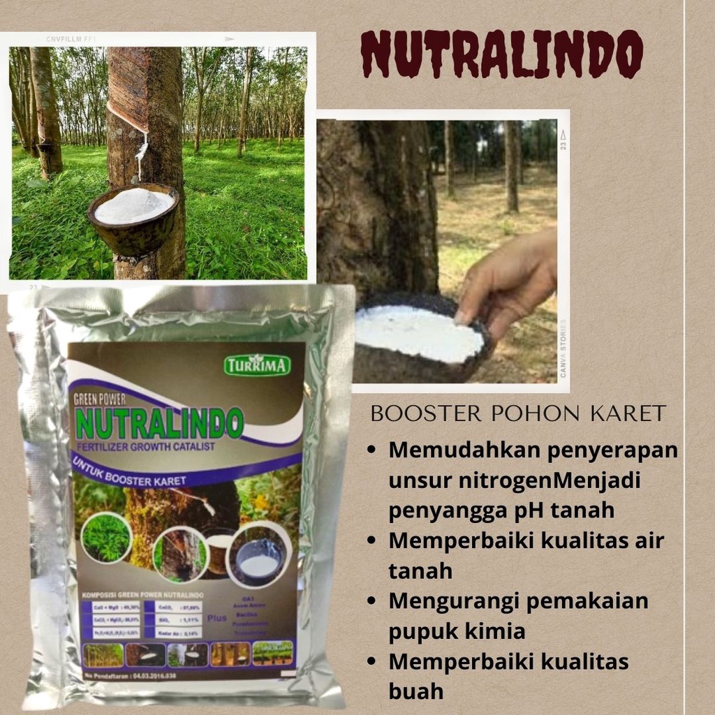 Pupuk karet organik, pupuk agar karet banyak getah