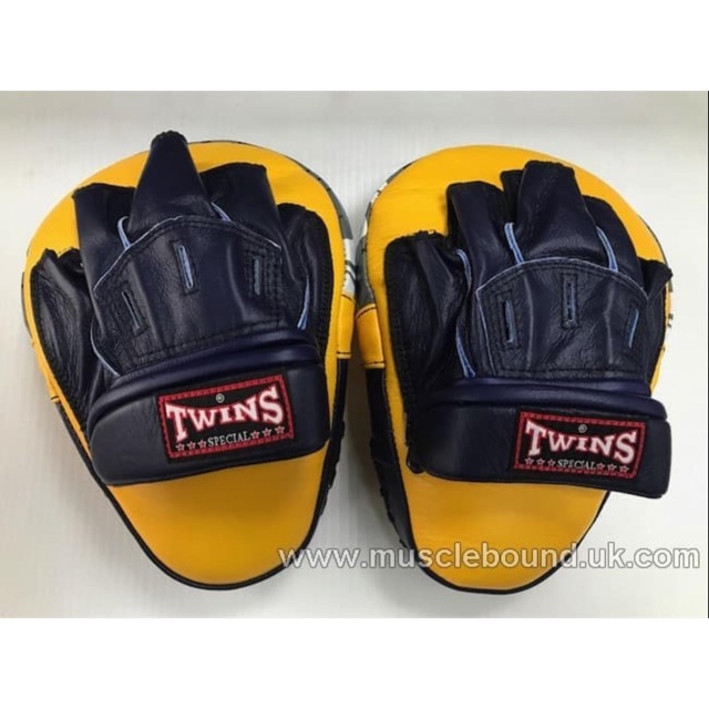 Pad Muaythai dan Boxing / Twins Fokus mitts