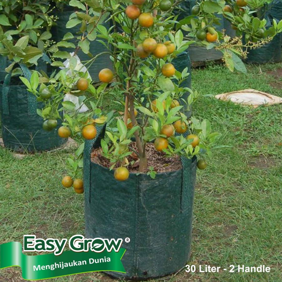 Planter Bag Easy Grow 30 Liter - Hijau