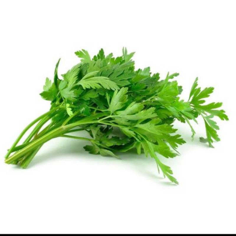 

Daun Seledri 100gram