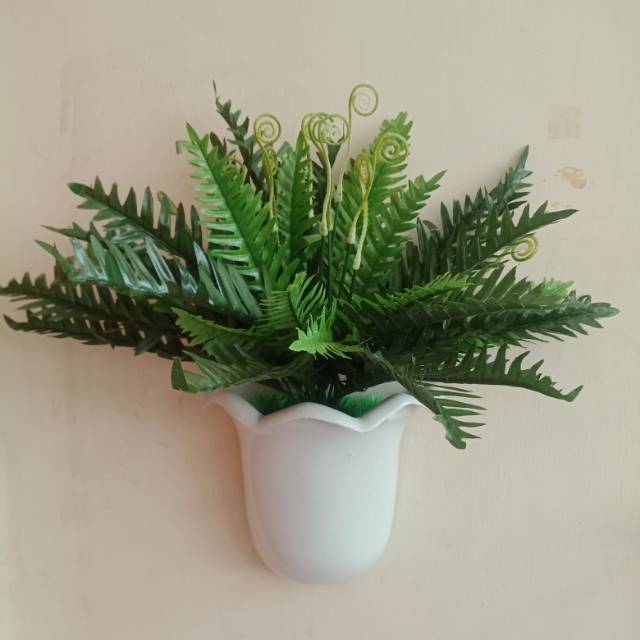 hiasan dinding palem pakis include pot dinding  /home decor /hiasan dinding bisa cod