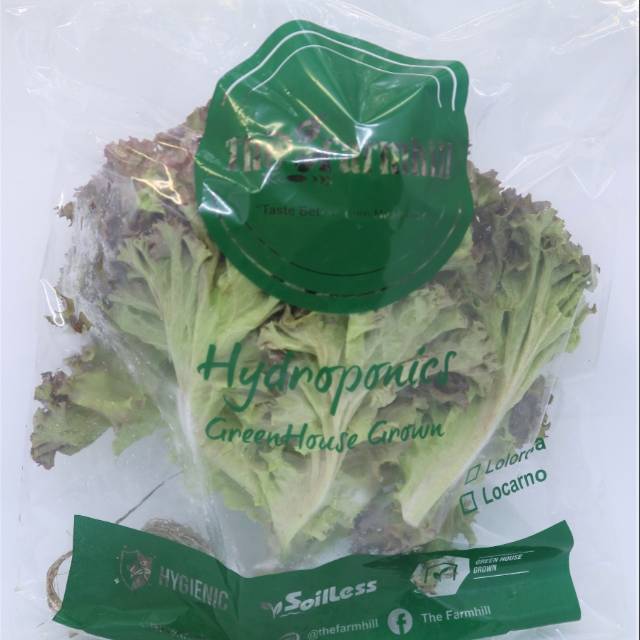 

Lettuce Lolorosa