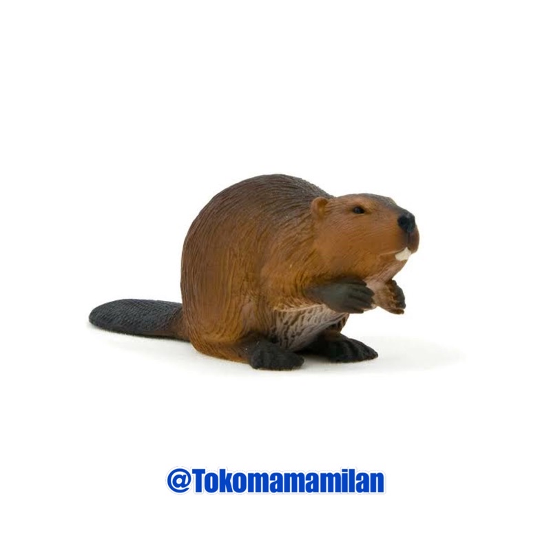 Mojo | Mojo Fun Animal Figurine Beaver / Berang-berang - Woodland Collection | Mainan Miniatur Binat