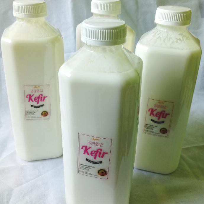 

[[BISA COD]] Susu Kefir Kambing 48 Jam Prima Fermentasi Full Grain STOK TERBATAS Kode 164