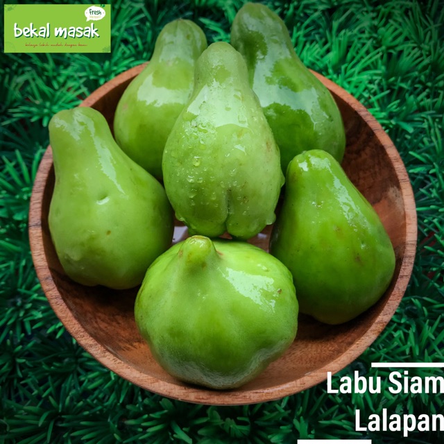 

Labu Siam Lalapan