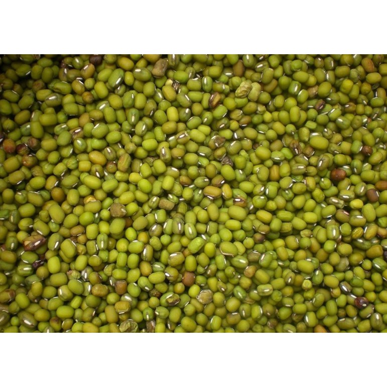 

Kajang Hijau Kualitas Super Kemasan 1000 gr