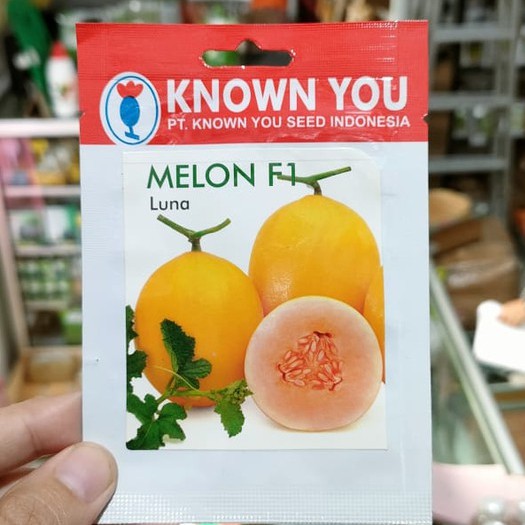 KYS - benih MELON LUNA isi 5 biji - bibit melon kuning - known you seed