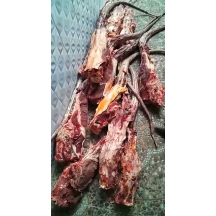

Buntut sapi grade A berkualitas halal 500 gram-1kg
