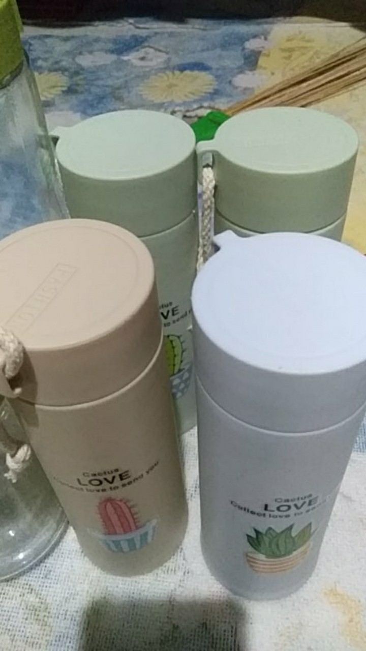 [ Pake Dus ] Botol Kaca Kaktus / Botol Kaktus Ada Dus