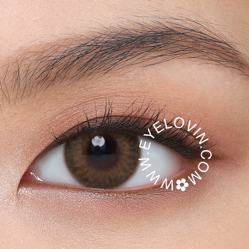 Eyelovin Softlens OHAN - Guri Brown