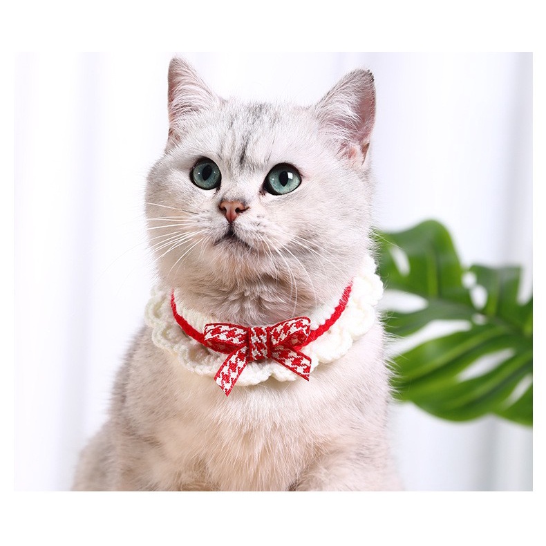 PH.Medan Kalung Kucing/Anjing motif Renda Premium untuk Hewan Peliharaan