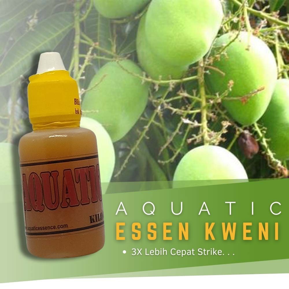 Essen Aroma Kweni 30ml Aquatic - Umpan Mancing Ikan Bawal Tawes Lele Patin Dll