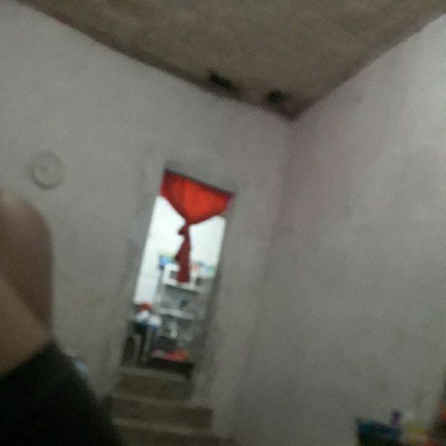 [650gr] Kotak Telur Isi 12 Golden Sunkist Sale