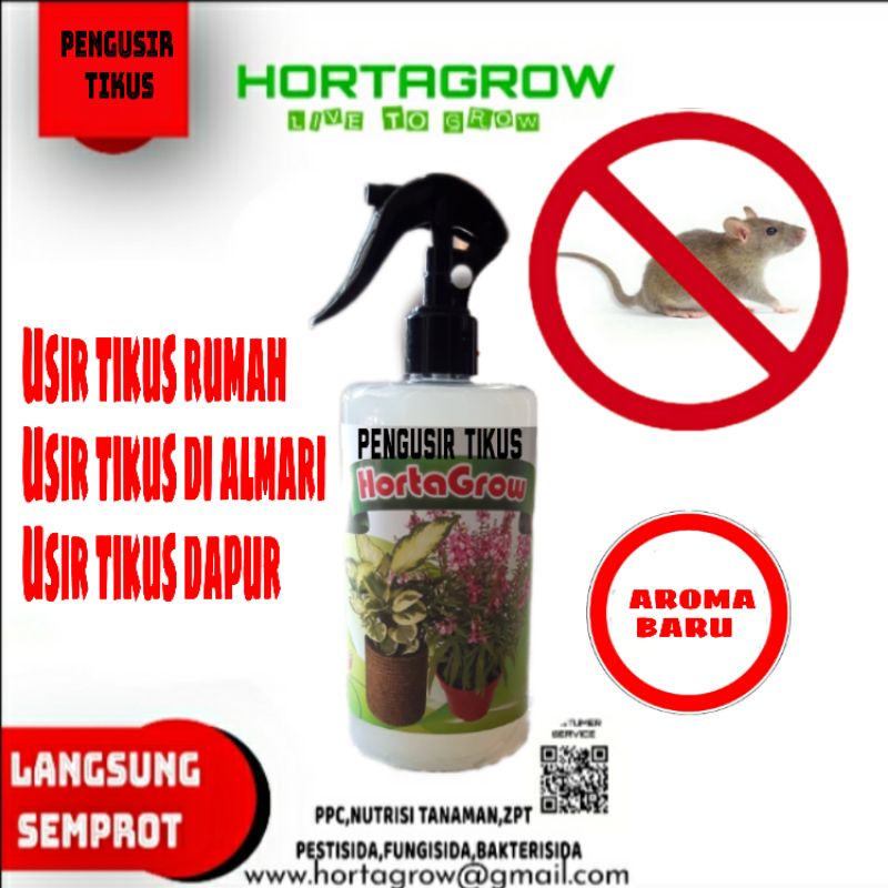 pengusir tikus,usir tikus,tikus dapur,tikus kolong mobil,tikus rumaham