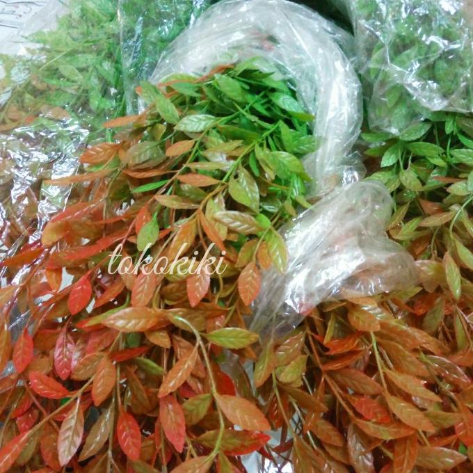 Daun Lee Kwan Yew Artificial Daun Juntai Lee Kuan Yu