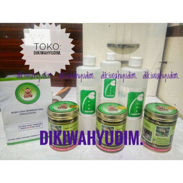 Obat Tauge santoso + sumo