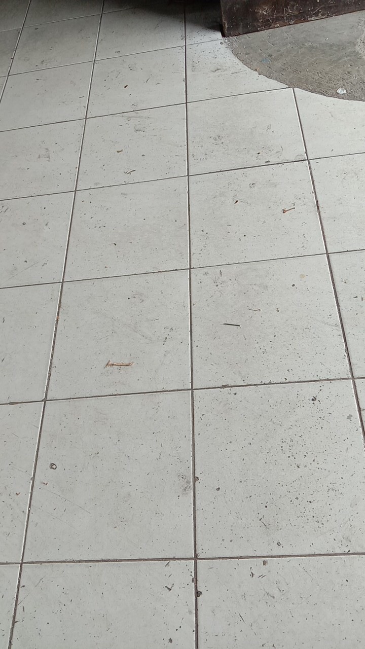 Cream Putih Gading Aroma Wangi