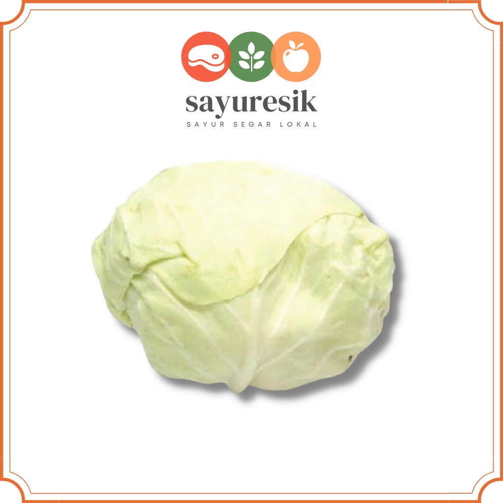 

[Pasar Kota Gresik] Sayur Kubis Segar