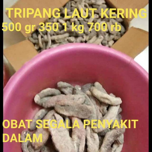 

Tripang laut kering