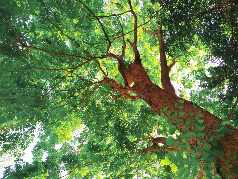 Paket Kasur Angin Intex High Quality Intex Durabeam Double + Pompa + Lem 64102 ( 137x191x25cm )