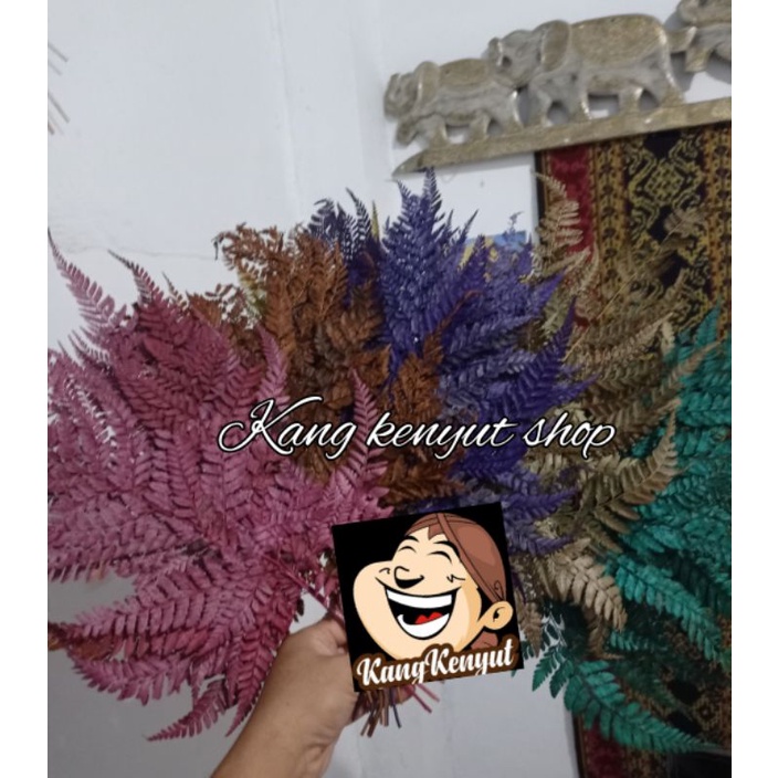 Daun pakis/ daun paku 1 ikat