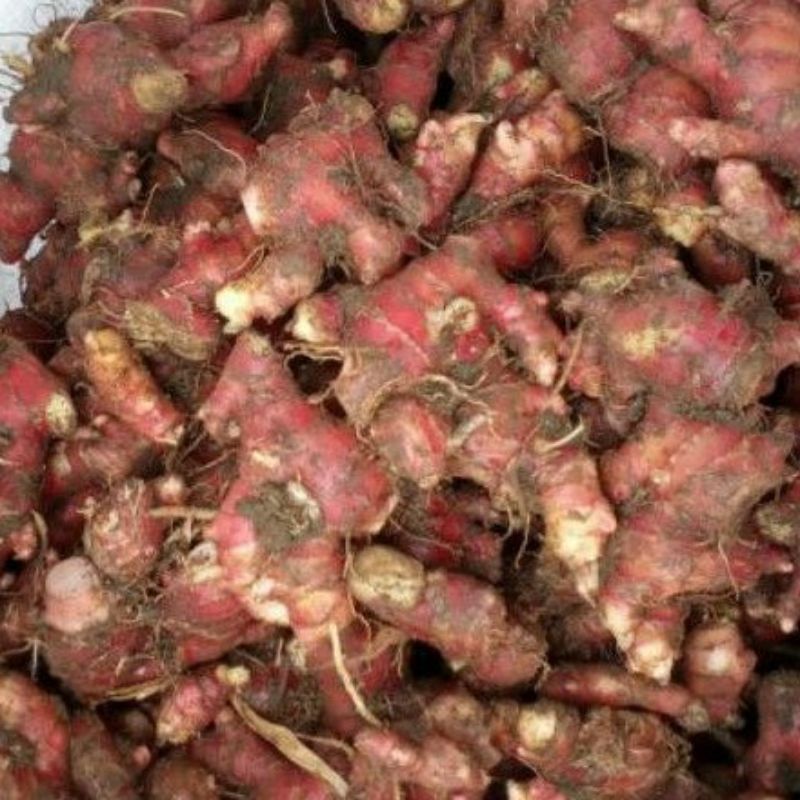 

jahe merah 1 kg jahe merah super asli lokal