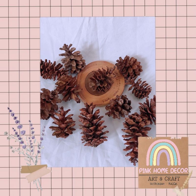 Biji pinus | Biji hiasan | hiasan mahar | hiasan bunga | hiasan buket