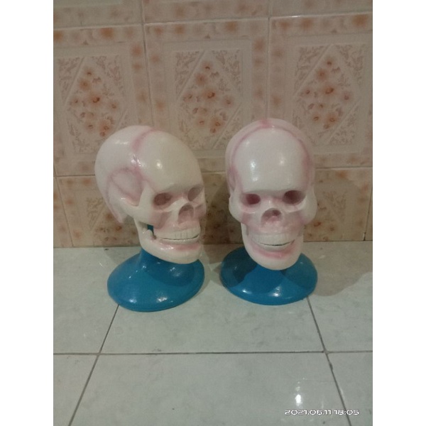 

torso model kepala tengkorak