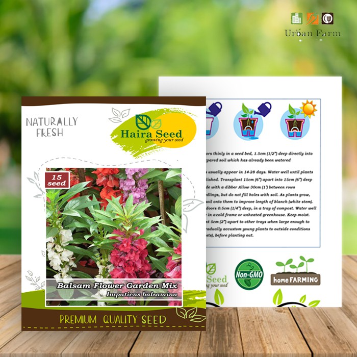 Benih-Bibit Bunga Pacar Air/Balsam Mix (Haira Seed)