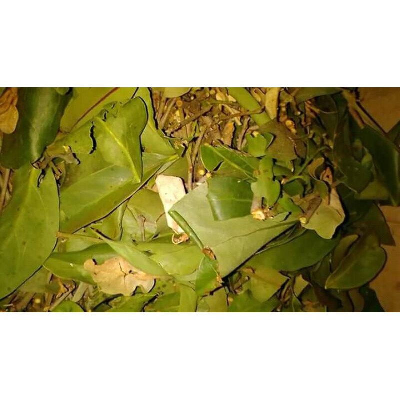 

teh benalu kopi