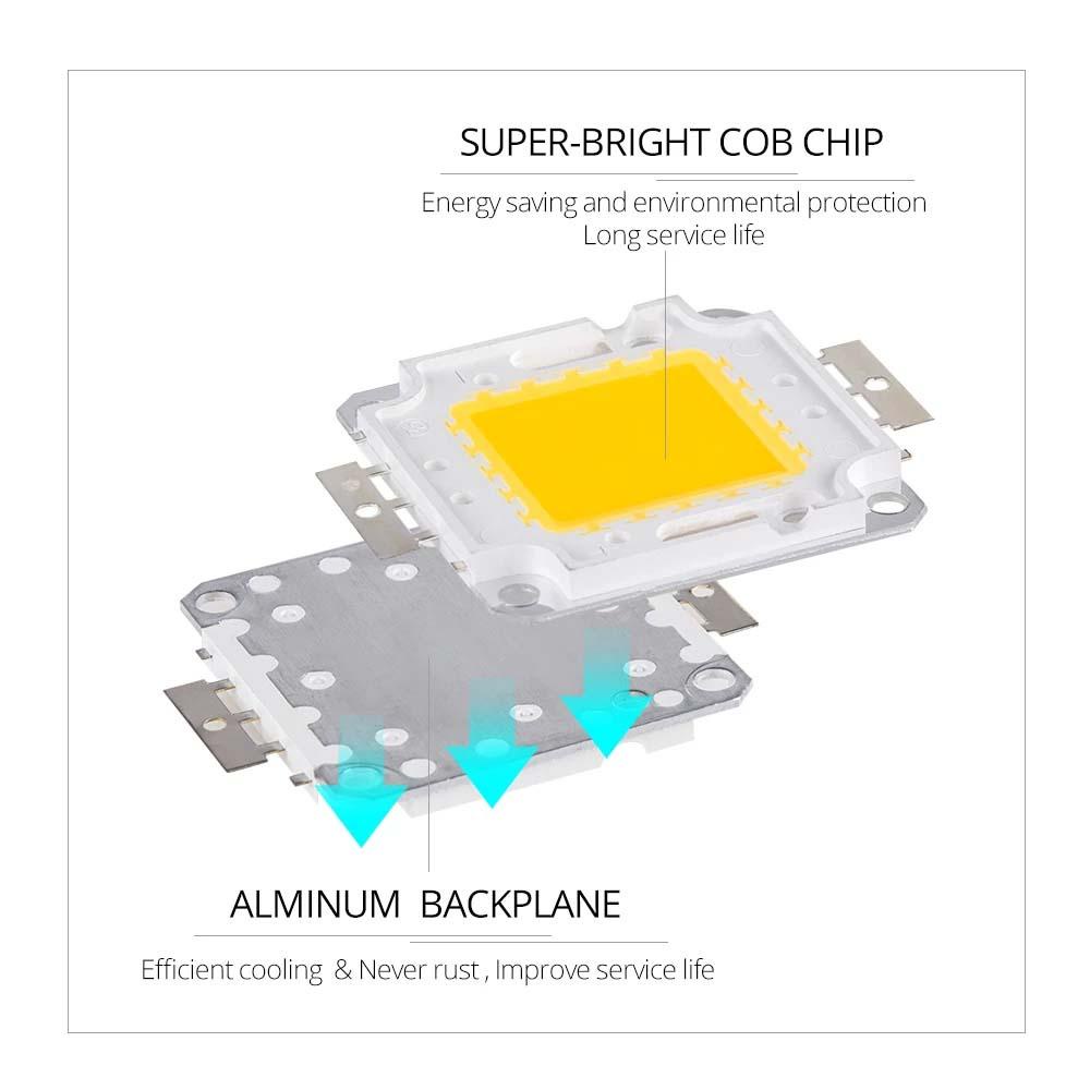 QUINTON Manik-manik LED Chip 20W 50W Putih Dingin Lampu Sorot LED Chip Lampu Terintegrasi Cahaya Manik-Manik LED DIY Untuk Lampu Sorot 22-24V