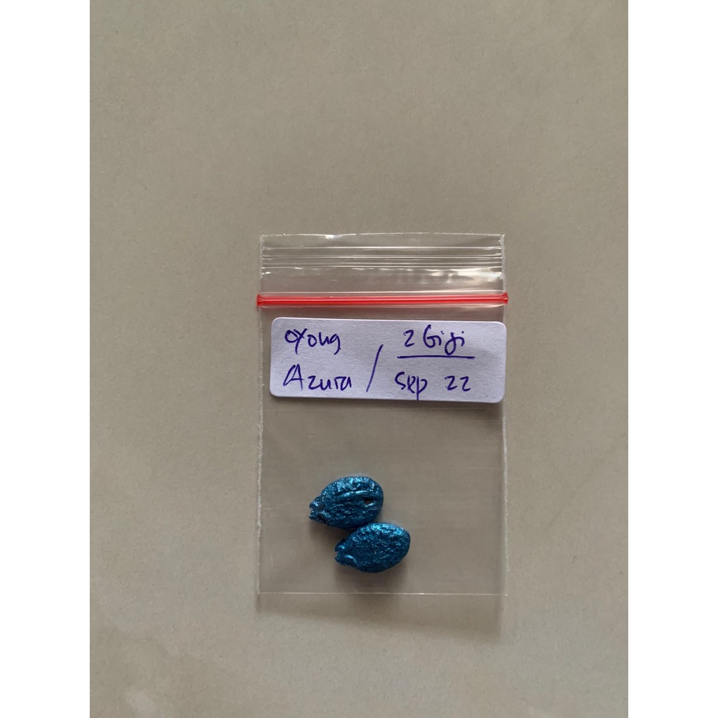 Benih oyong/gambas Azura F1 Cap Panah merah